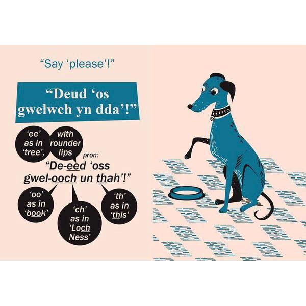 Teach Your Dog Gog - North Wales Welsh - Anne Cakebread