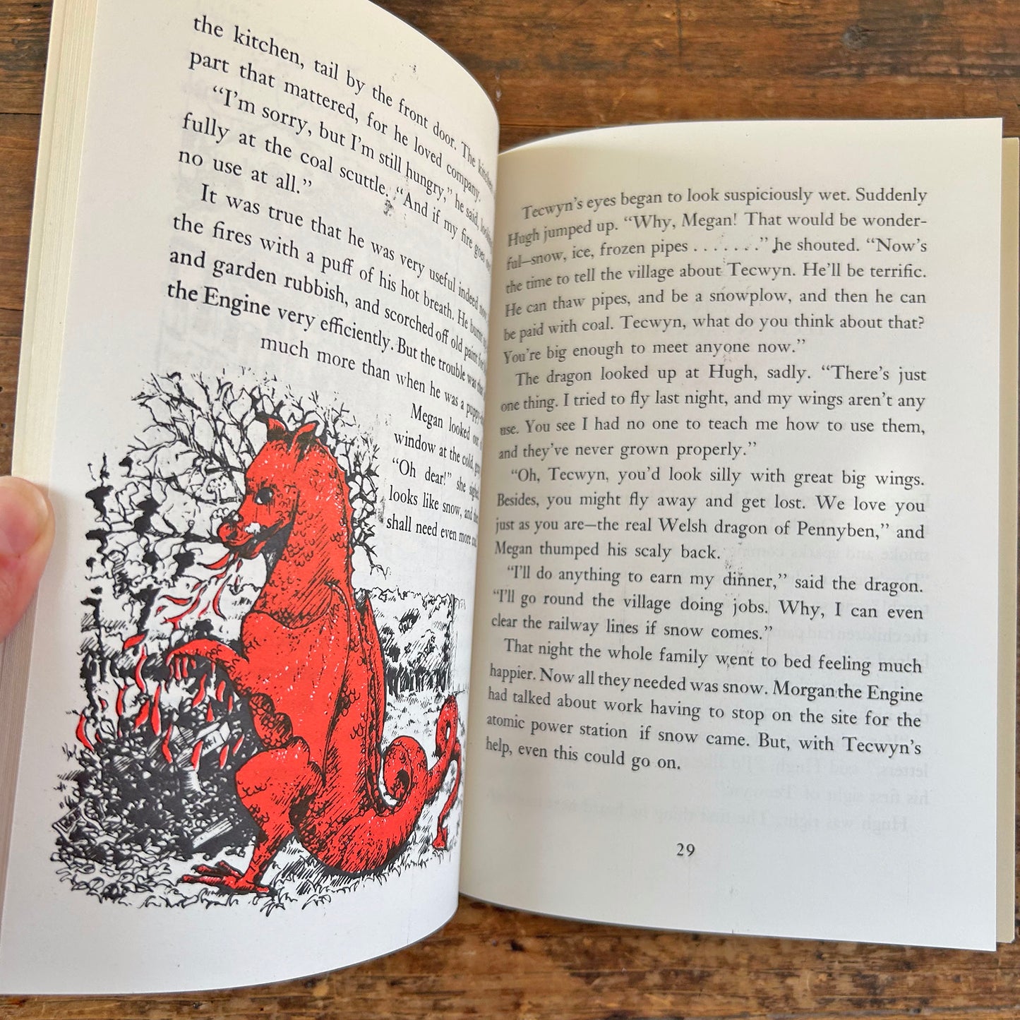 Tecwyn The Last of the Welsh Dragons (Preloved)