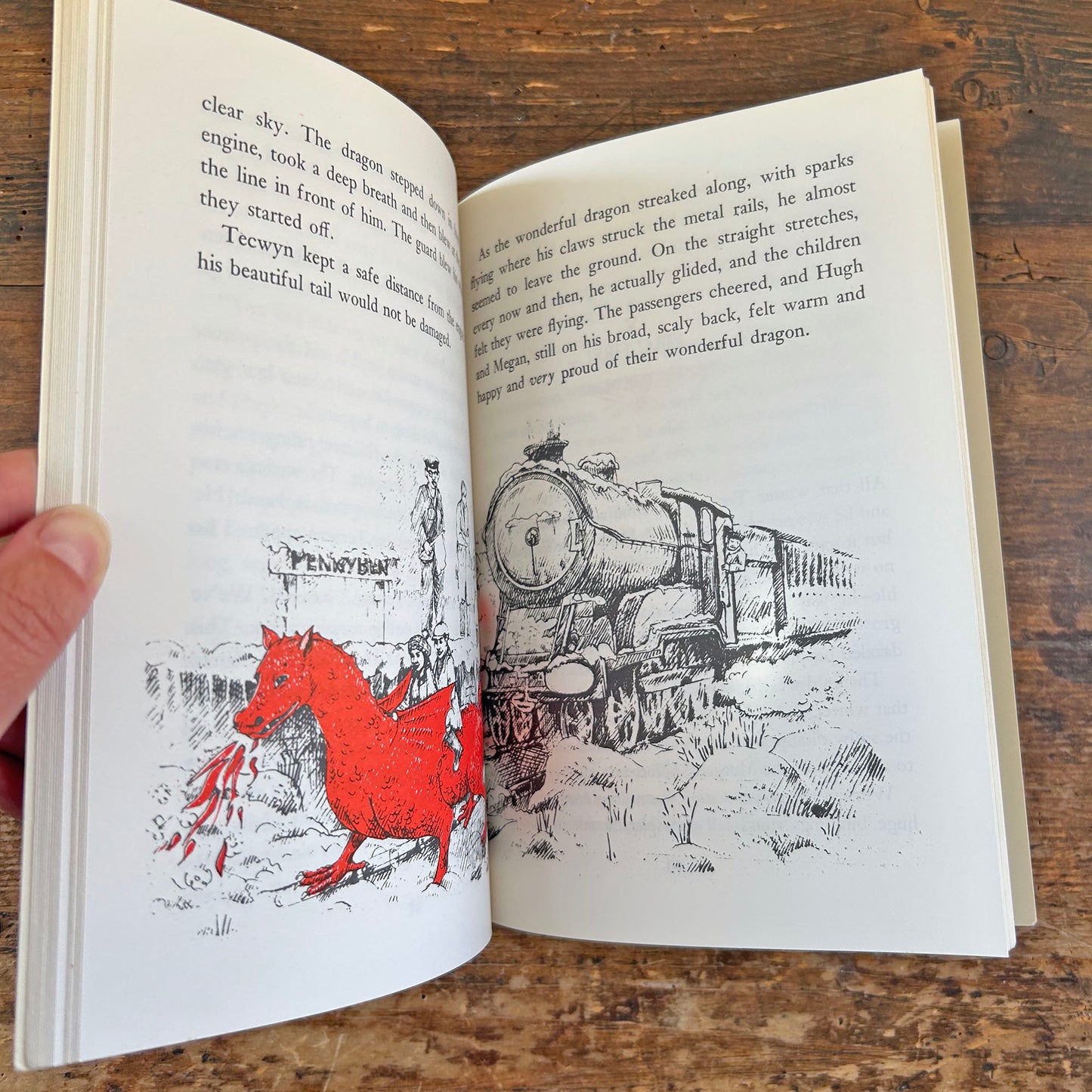Tecwyn The Last of the Welsh Dragons (Preloved)