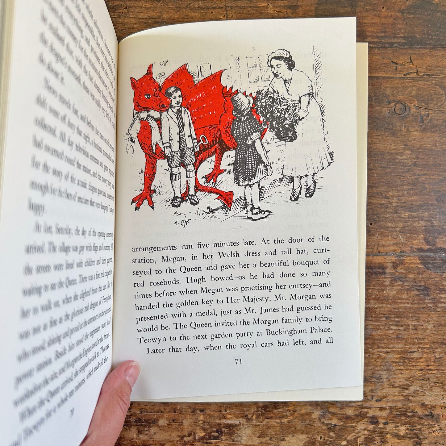 Tecwyn The Last of the Welsh Dragons (Preloved)
