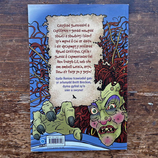 Teigr yn y Gegin - Hywel Griffiths (Preloved)