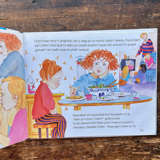 Teimlo'n...Bryderus - Sally Hewitt -1997 (Preloved)