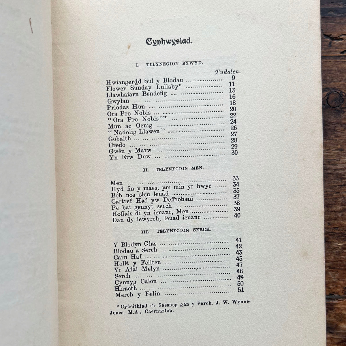 Telynegion - Maes a Mor - Eifion Wyn - Vintage Welsh Poetry 1908 (Preloved)