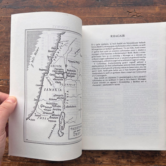 William Jones - Nofel Gan T. Rowland Hughes - 1951 (Rhag-gariad)
