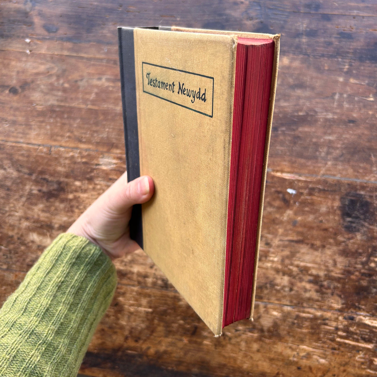 Testament Newydd - Victorian Welsh Antique Bible (Preloved)