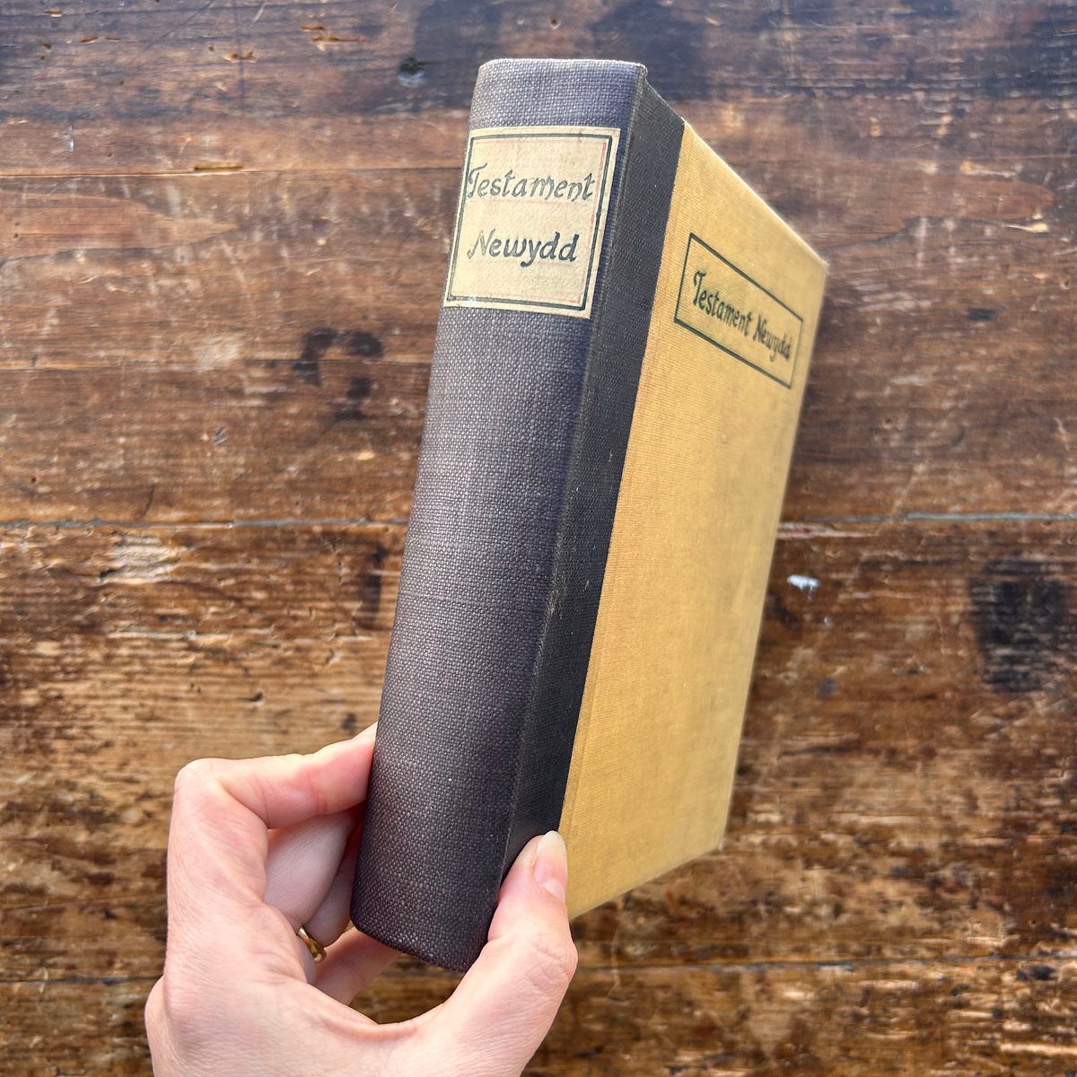Testament Newydd - Victorian Welsh Antique Bible (Preloved)