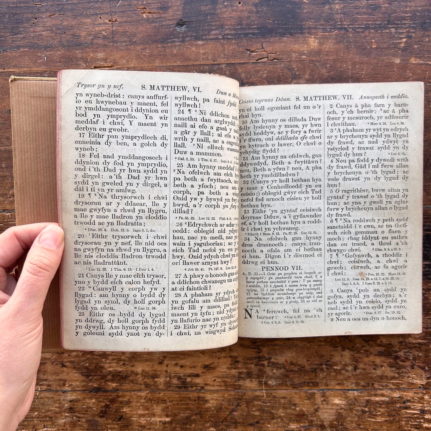 Testament Newydd - Victorian Welsh Antique Bible (Preloved)