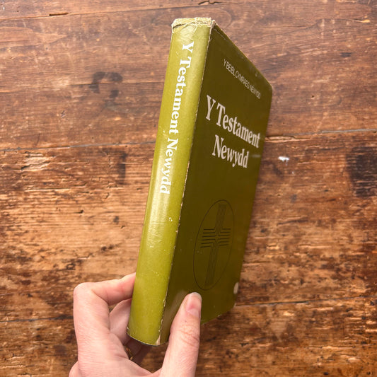 William Jones - Nofel Gan T. Rowland Hughes - 1951 (Rhag-gariad)