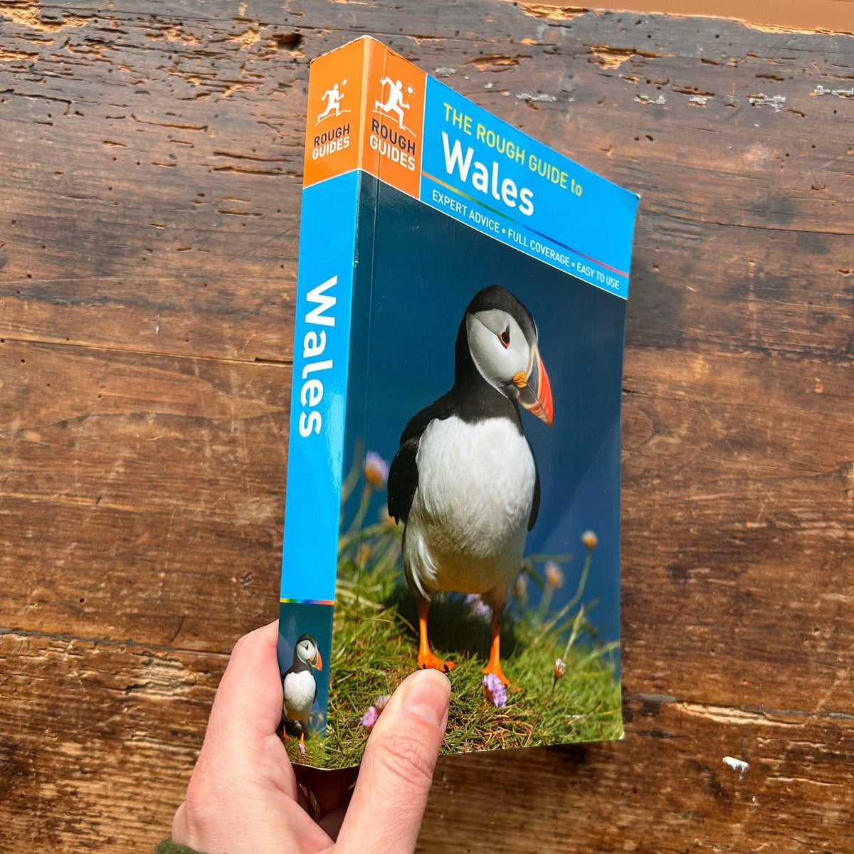 The Rough Guide to Wales 2015 (Preloved)