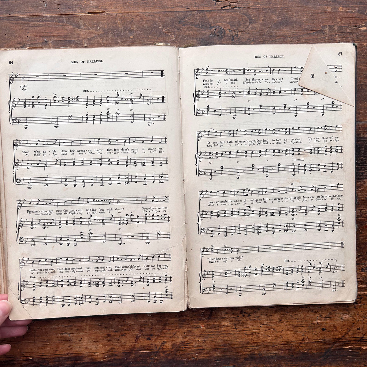 The Songs of Wales - Royal Edition - Brinley Richards - 1879 (Preloved)