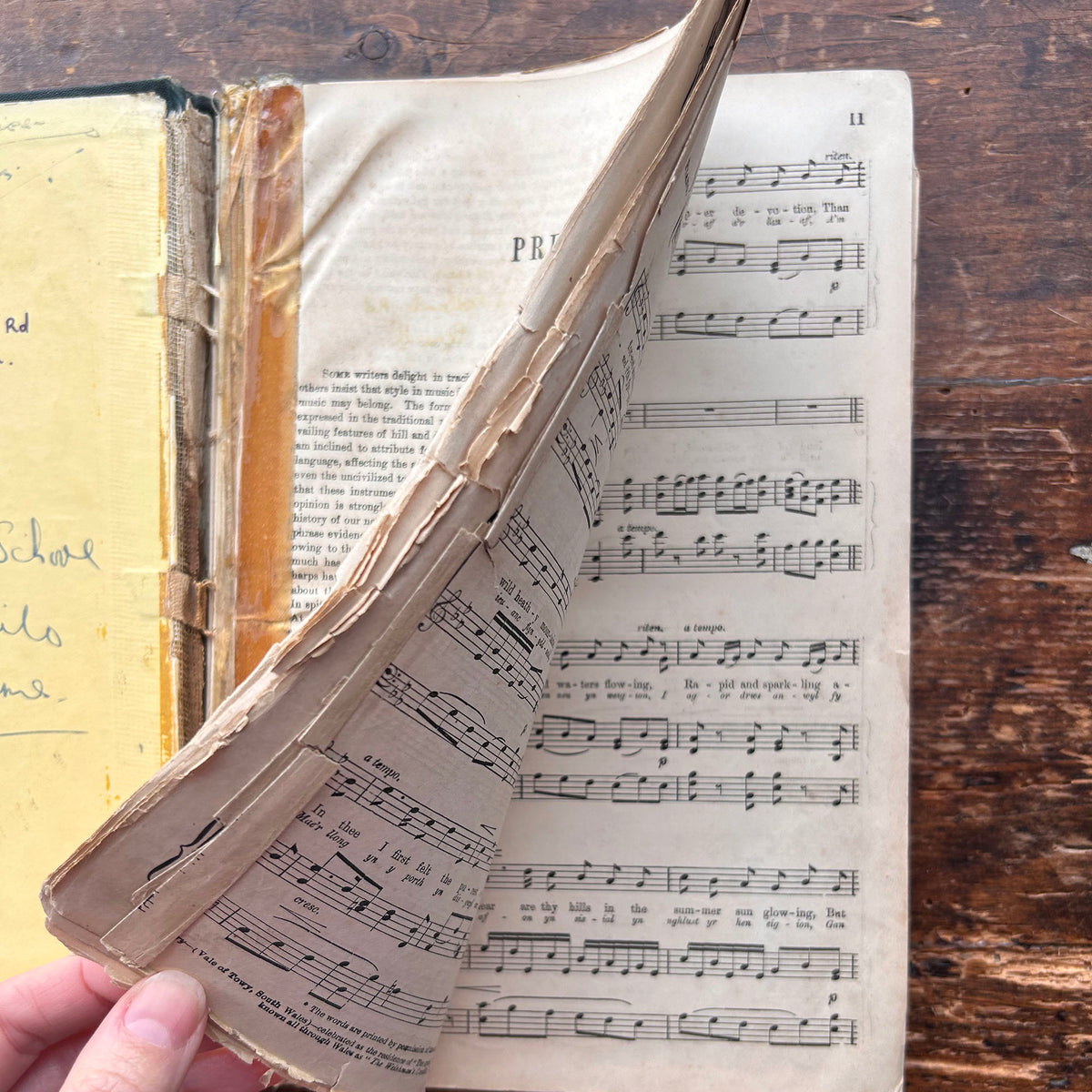 The Songs of Wales - Royal Edition - Brinley Richards - 1879 (Preloved)
