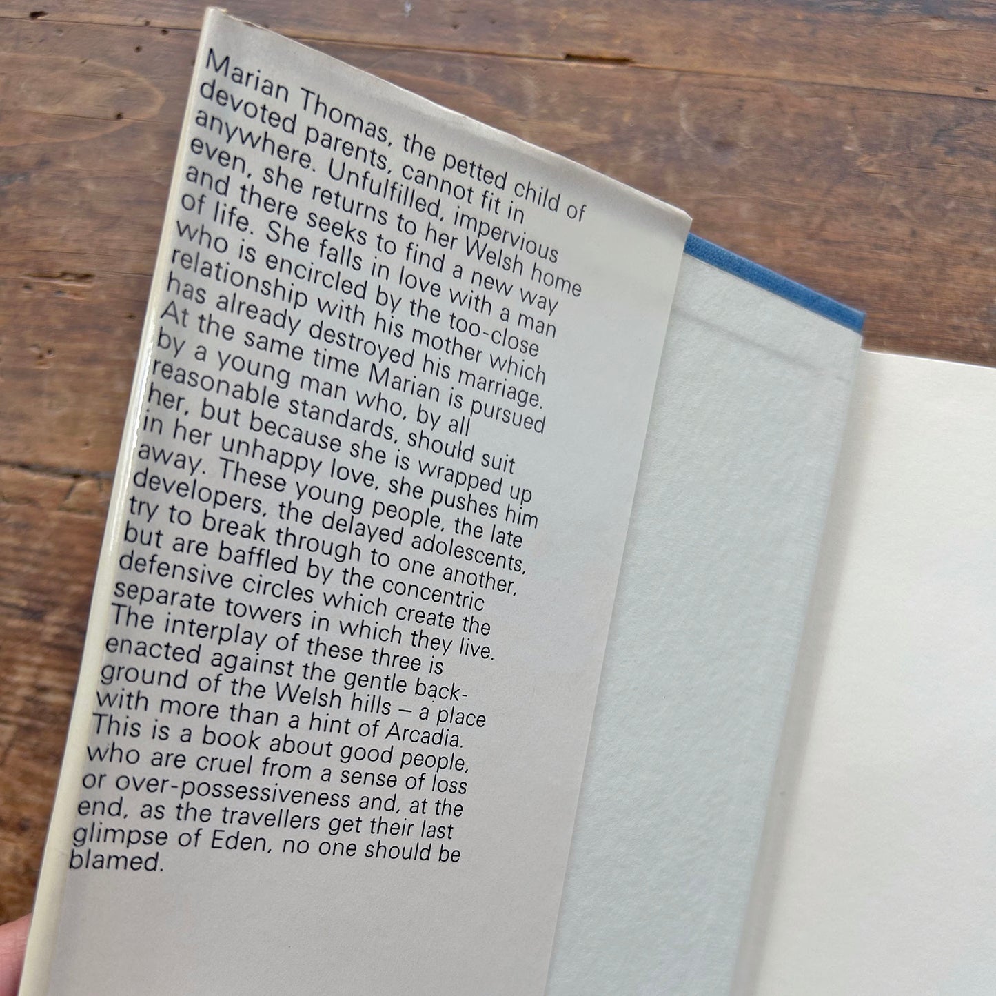 The Tower is Everywhere - Richard Jones (Preloved)