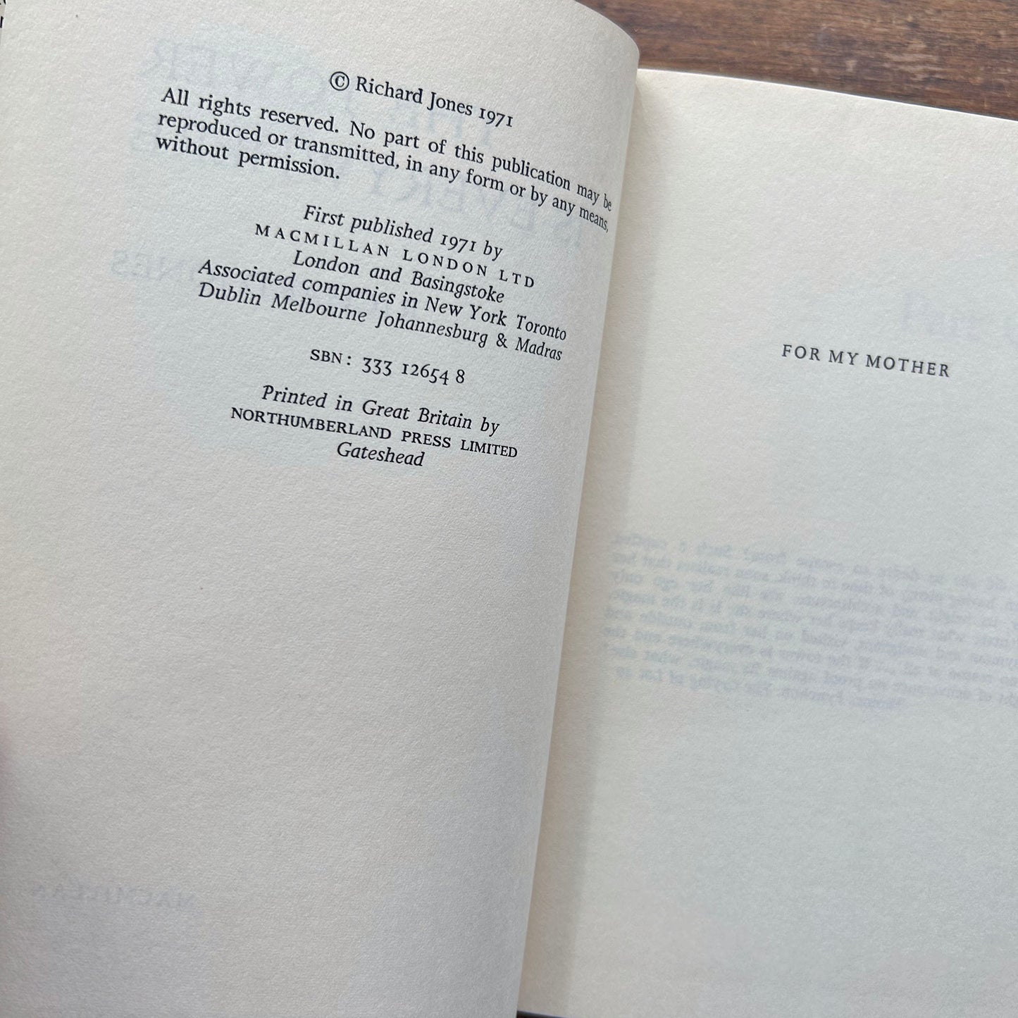 The Tower is Everywhere - Richard Jones (Preloved)