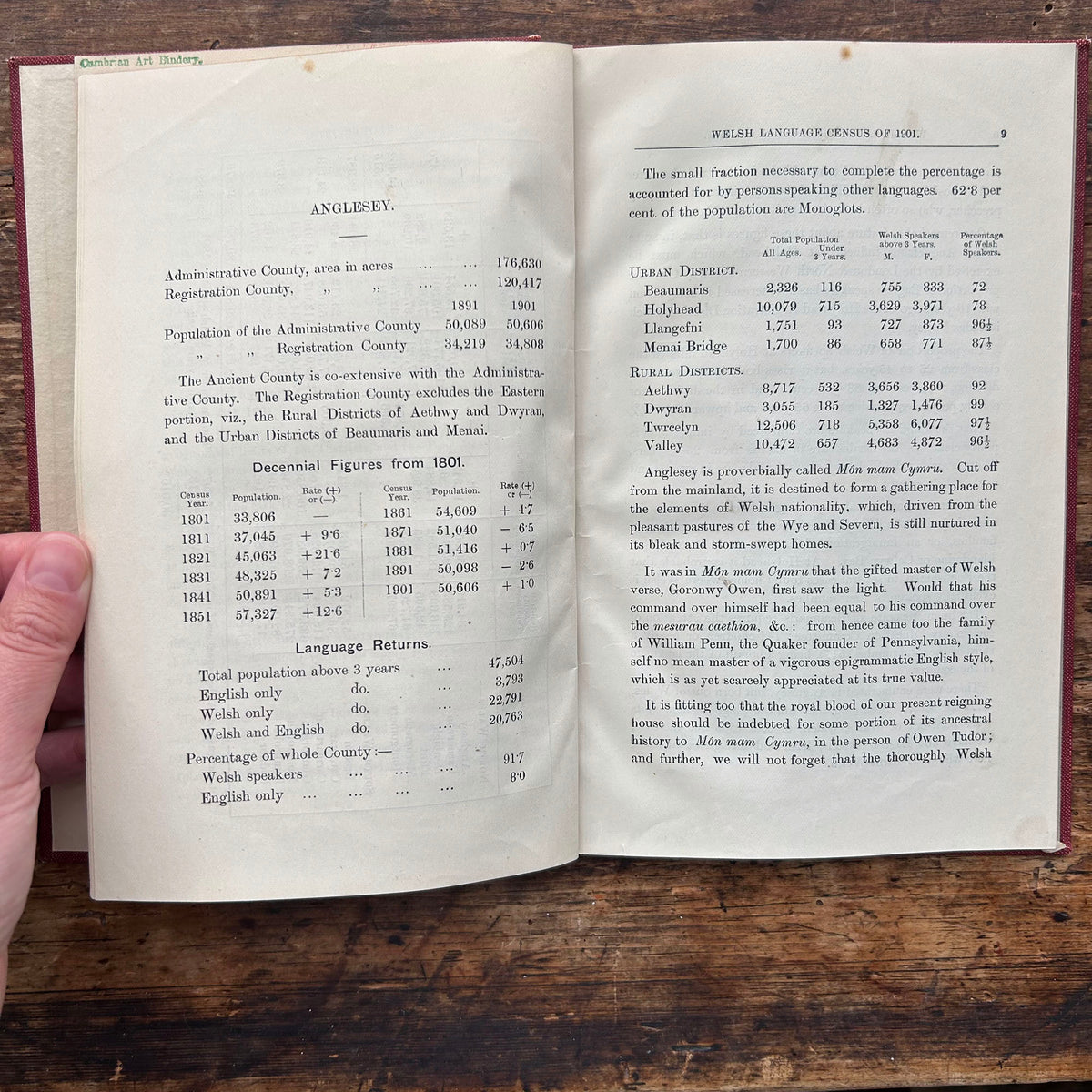 The Welsh Language Census of 1901 - John Edward Southall (Preloved)