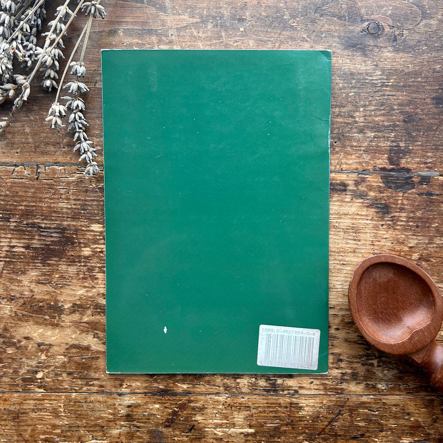 The Welsh Lovespoon - Mike Davies - 1996 (Preloved)