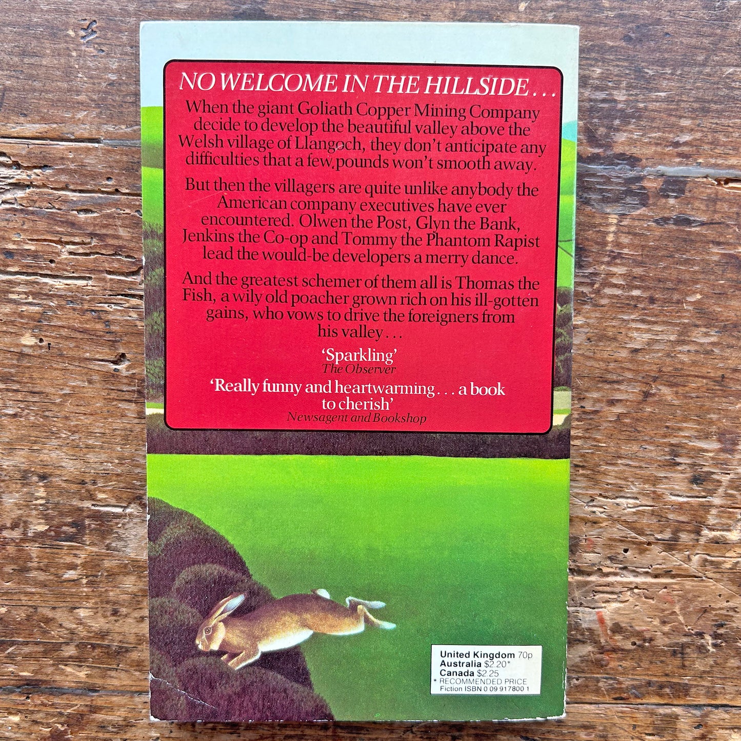 Thomas The Fish - Diana Morgan (Preloved)