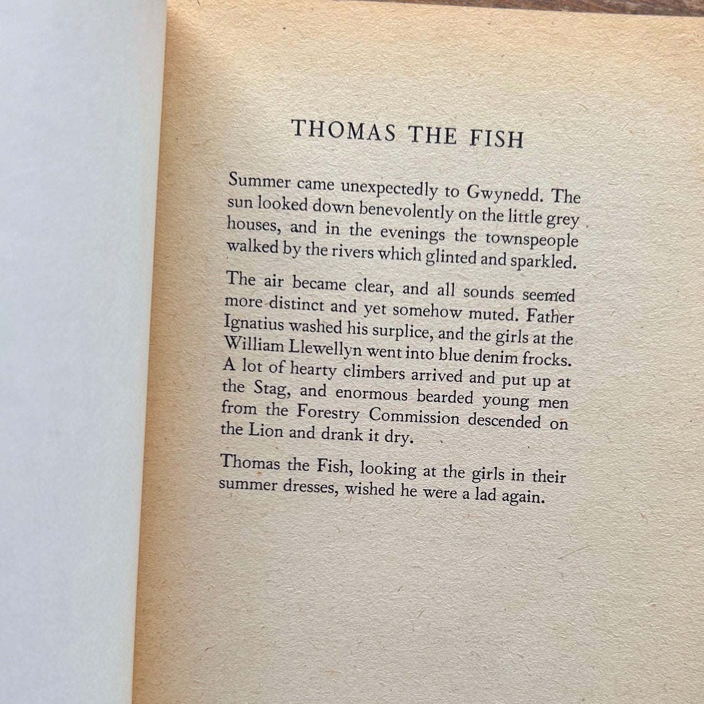 Thomas The Fish - Diana Morgan (Preloved)
