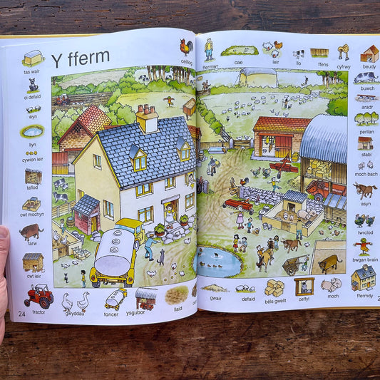 Y Geiriadur Lliwgar / First Thousand Words in Welsh (Preloved)