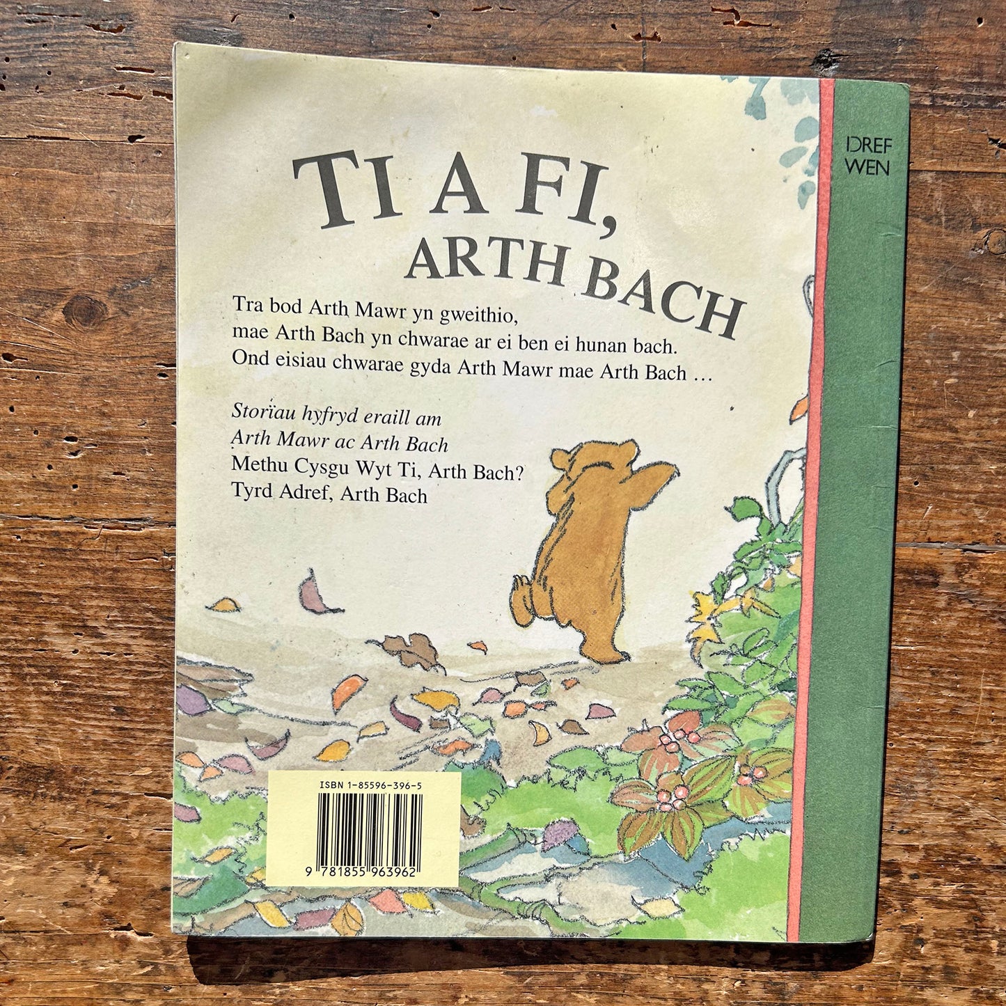 Ti a Fi, Arth Bach - Martin Waddell (Preloved)