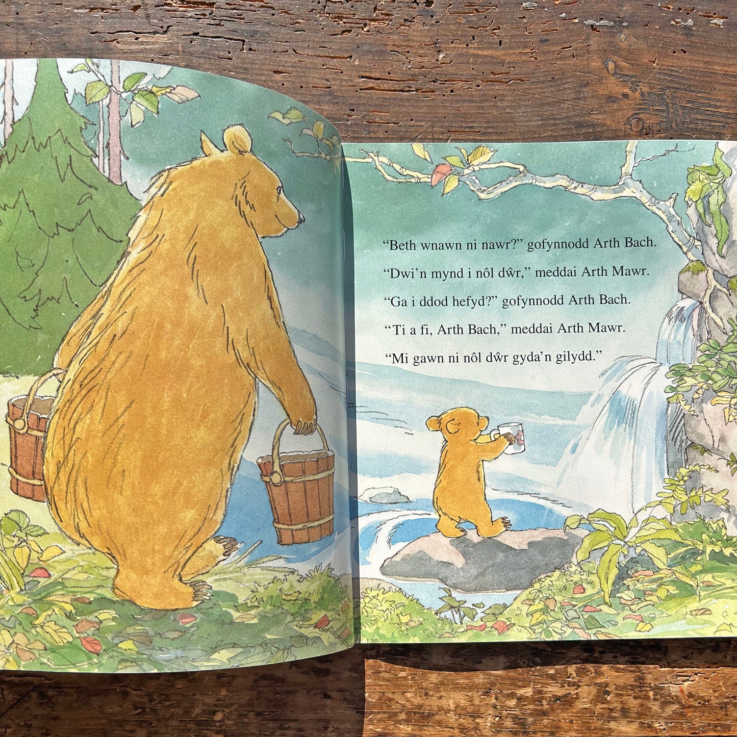 Ti a Fi, Arth Bach - Martin Waddell (Preloved)