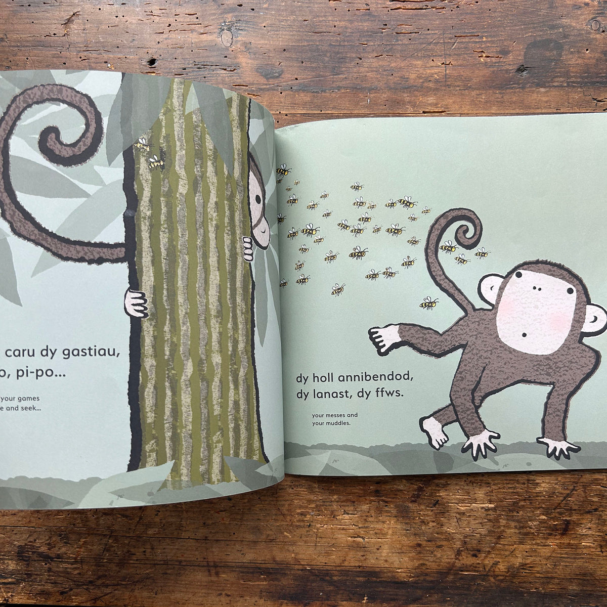 Ti... / You... - Emma Dodd - Welsh & English (Preloved)