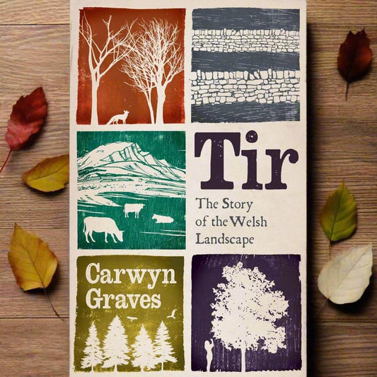 Tir : The Story of the Welsh Landscape