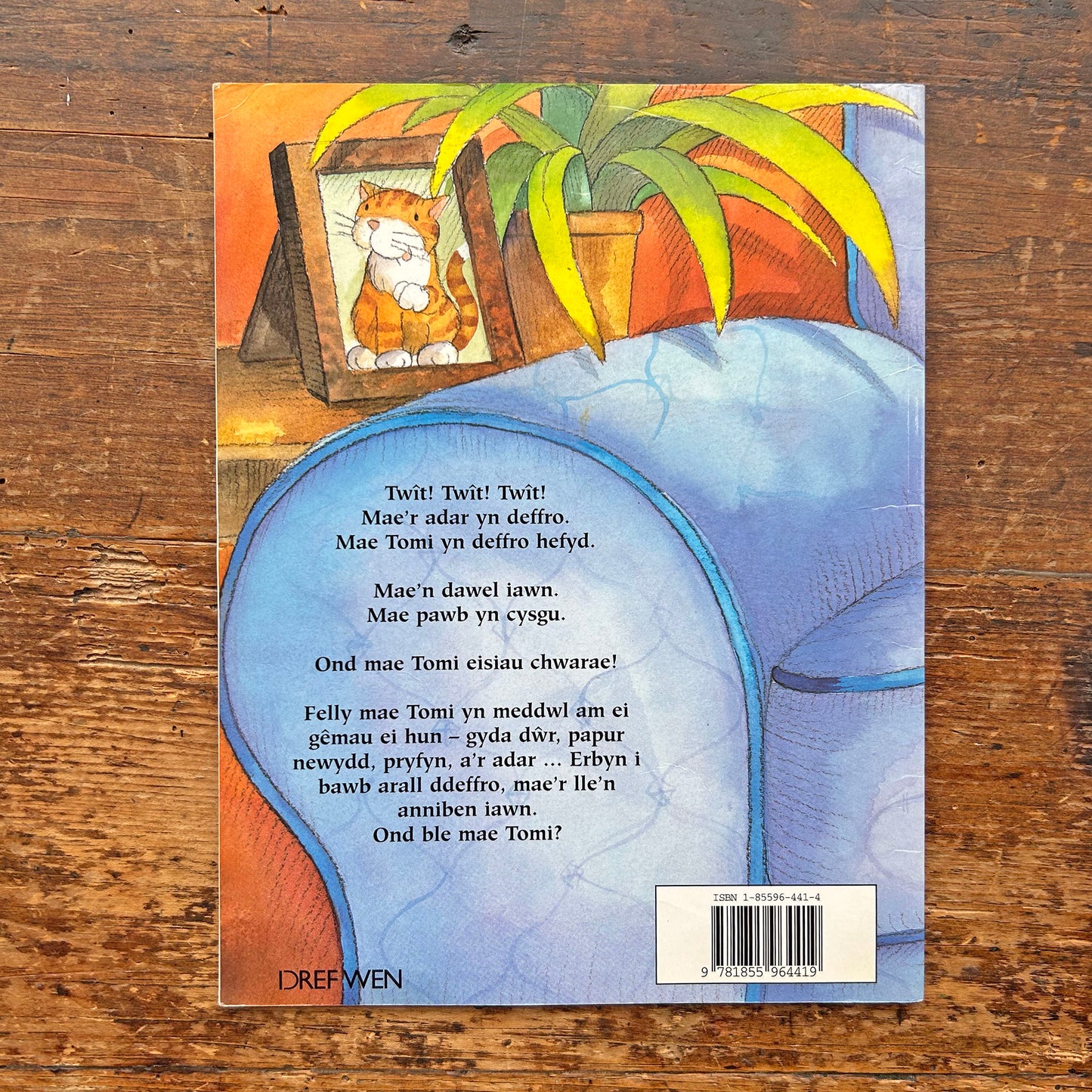 Tomi Mewn Trwbwl - Sally Chambers (Preloved)