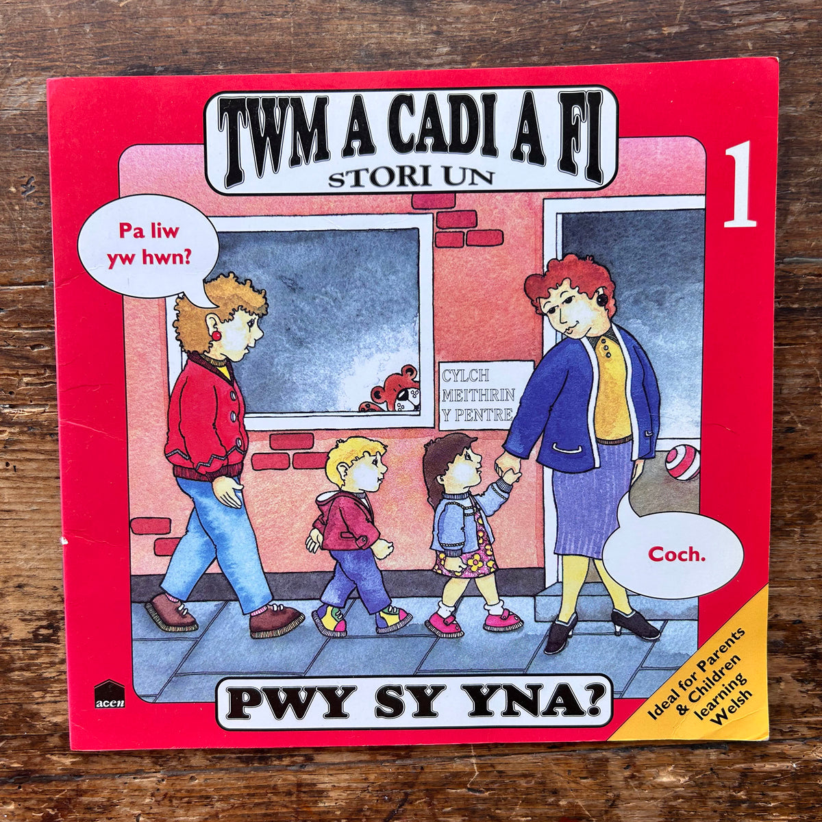 Twm A Cadi A Fi - Book: 1 Pwy Sy Yna - Anne Brooke / Sharon Martin 1993 (Preloved)