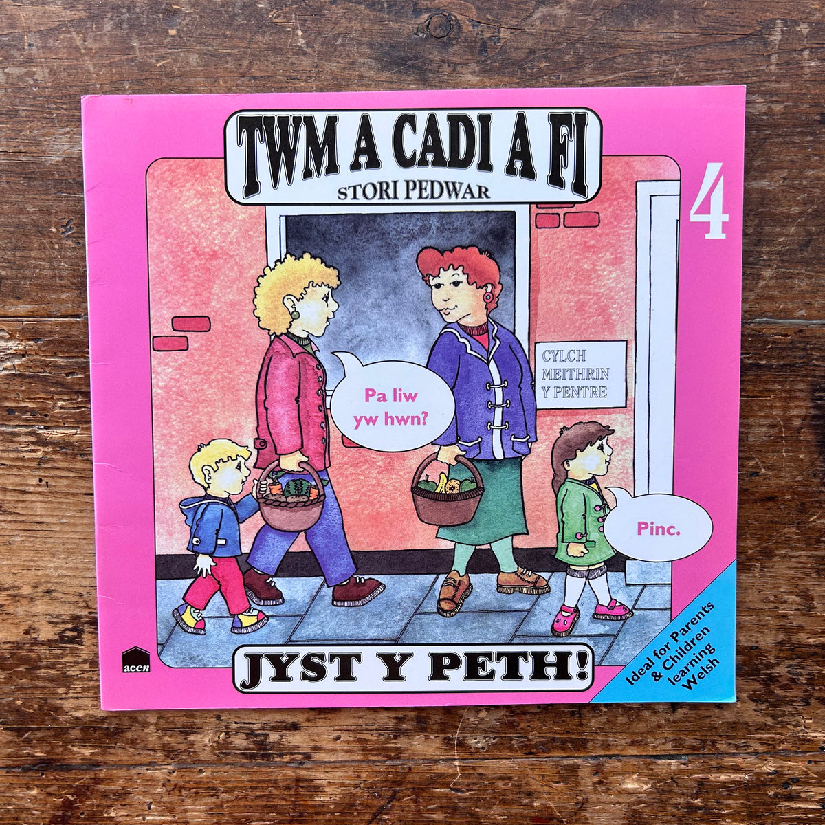 Twm A Cadi A Fi - Book: 4 Jyst Y Peth! - Anne Brooke / Sharon Martin 1993 (Preloved)