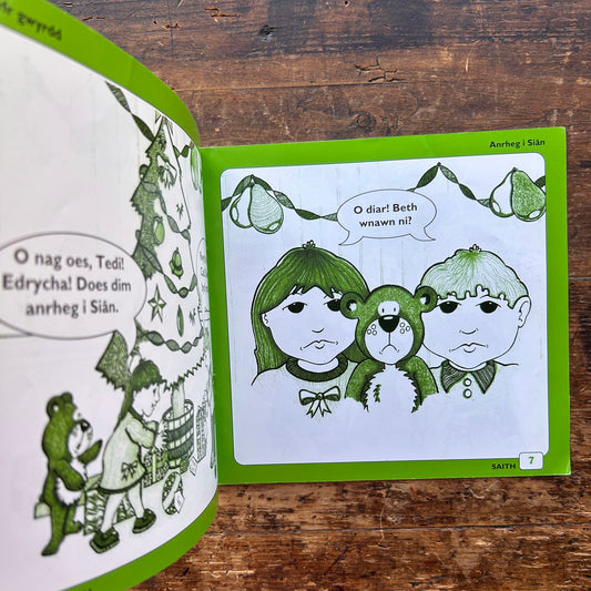 Twm A Cadi A Fi - Book: 7 Anrheg I Sian - Anne Brooke / Sharon Martin 1993 (Preloved)