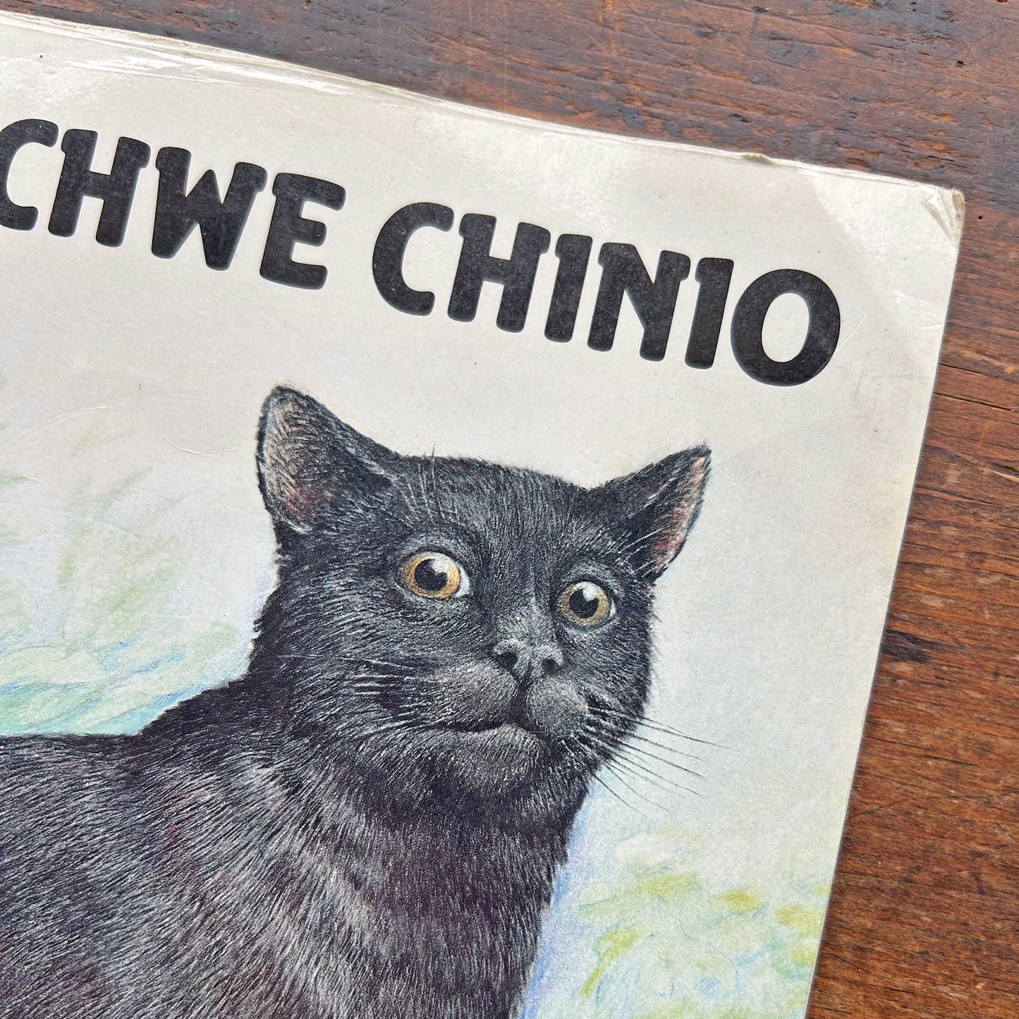 Twm Chwe Chinio / Six Dinners Sid (Preloved)