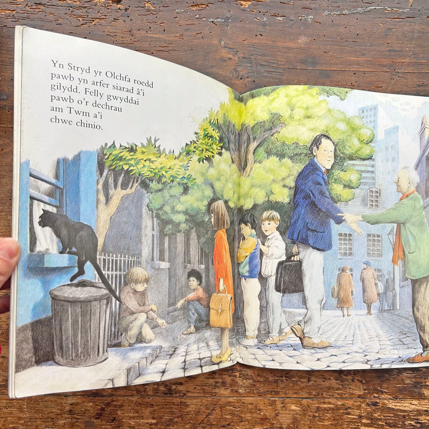 Twm Chwe Chinio / Six Dinners Sid (Preloved)