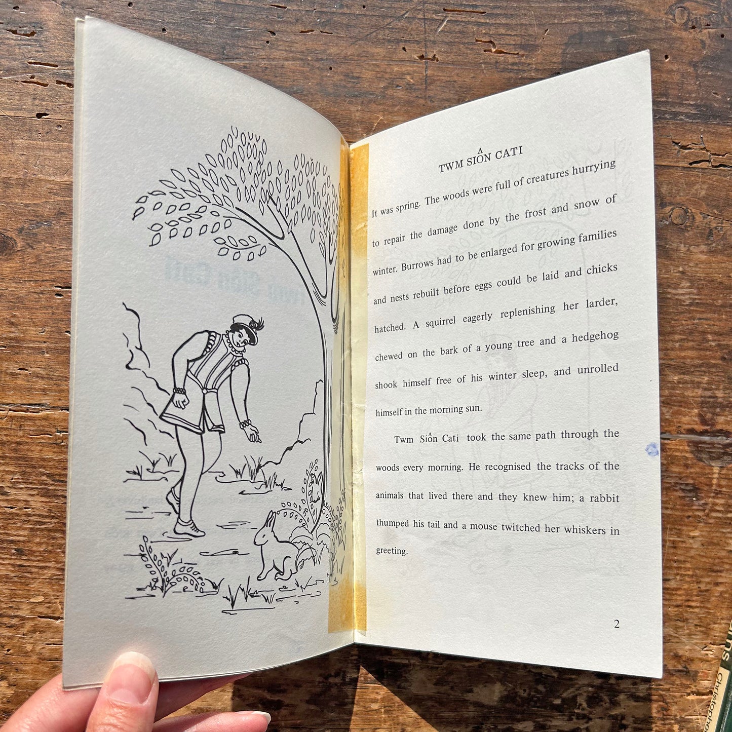 Twm Siôn Cati - Stories from Wales 1975 (Preloved)