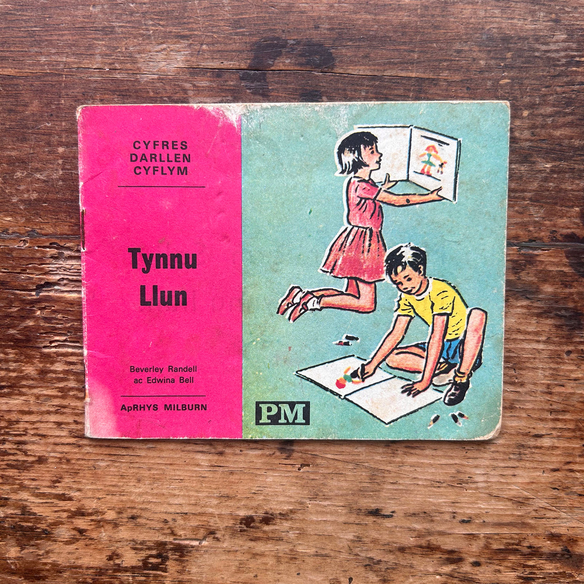 Tynnu Llun - Beverley Randell ac Edwina Bell - 1960s (Preloved)