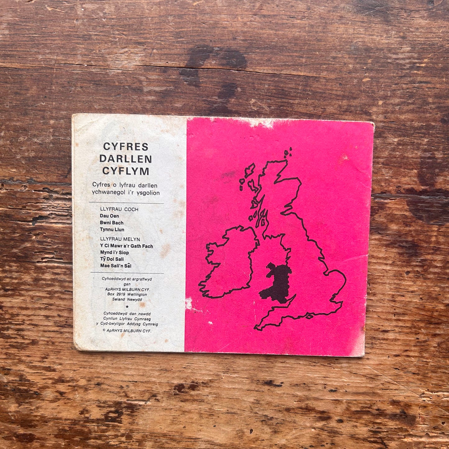 Tynnu Llun - Beverley Randell ac Edwina Bell - 1960s (Preloved)
