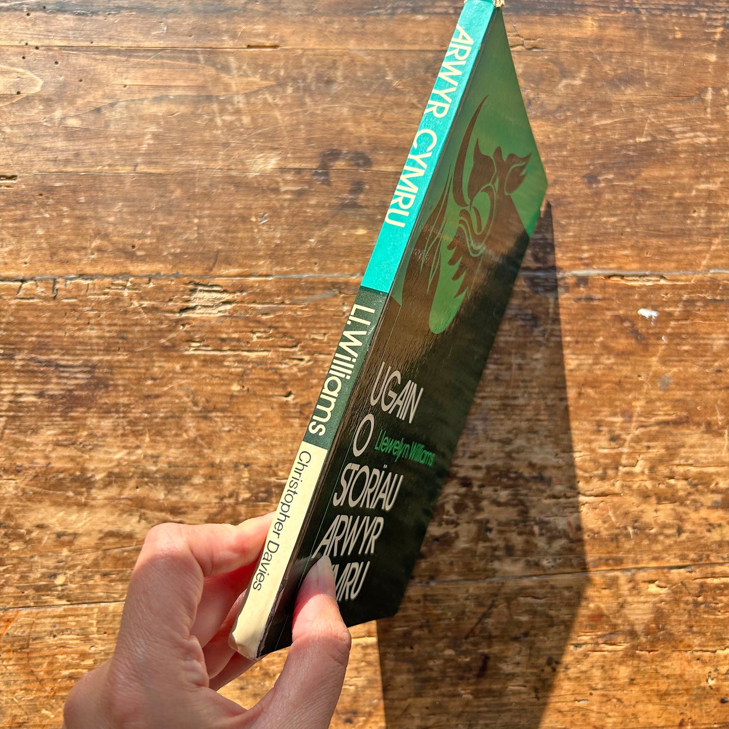 Ugain o Storiau Arwyr Cymru / Twenty Stories of Welsh Heroes (Preloved)