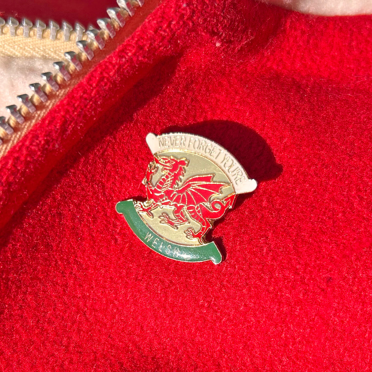 Lapel Pin / Badge - Vintage - Dragon - Never Forget You're Welsh (Preloved)