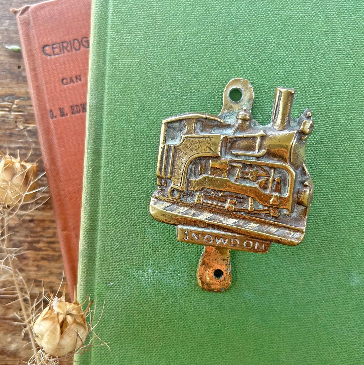 Vintage Brass Door Knocker - Snowdon Train (Preloved)