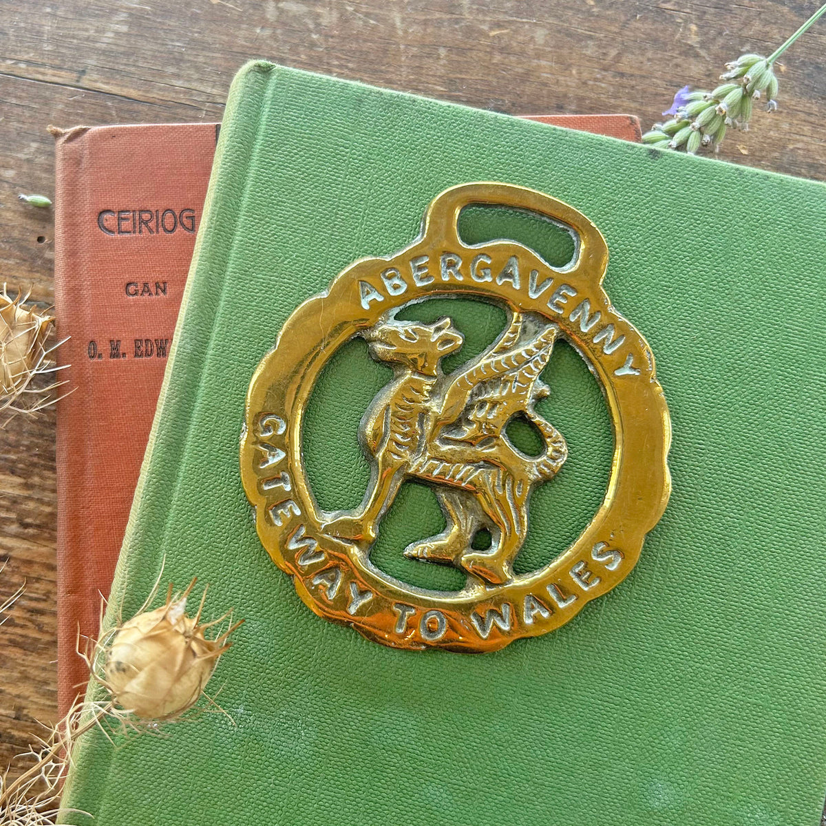Vintage Horse Brass / Medallion - Abergavenny - Gateway to Wales (Preloved)