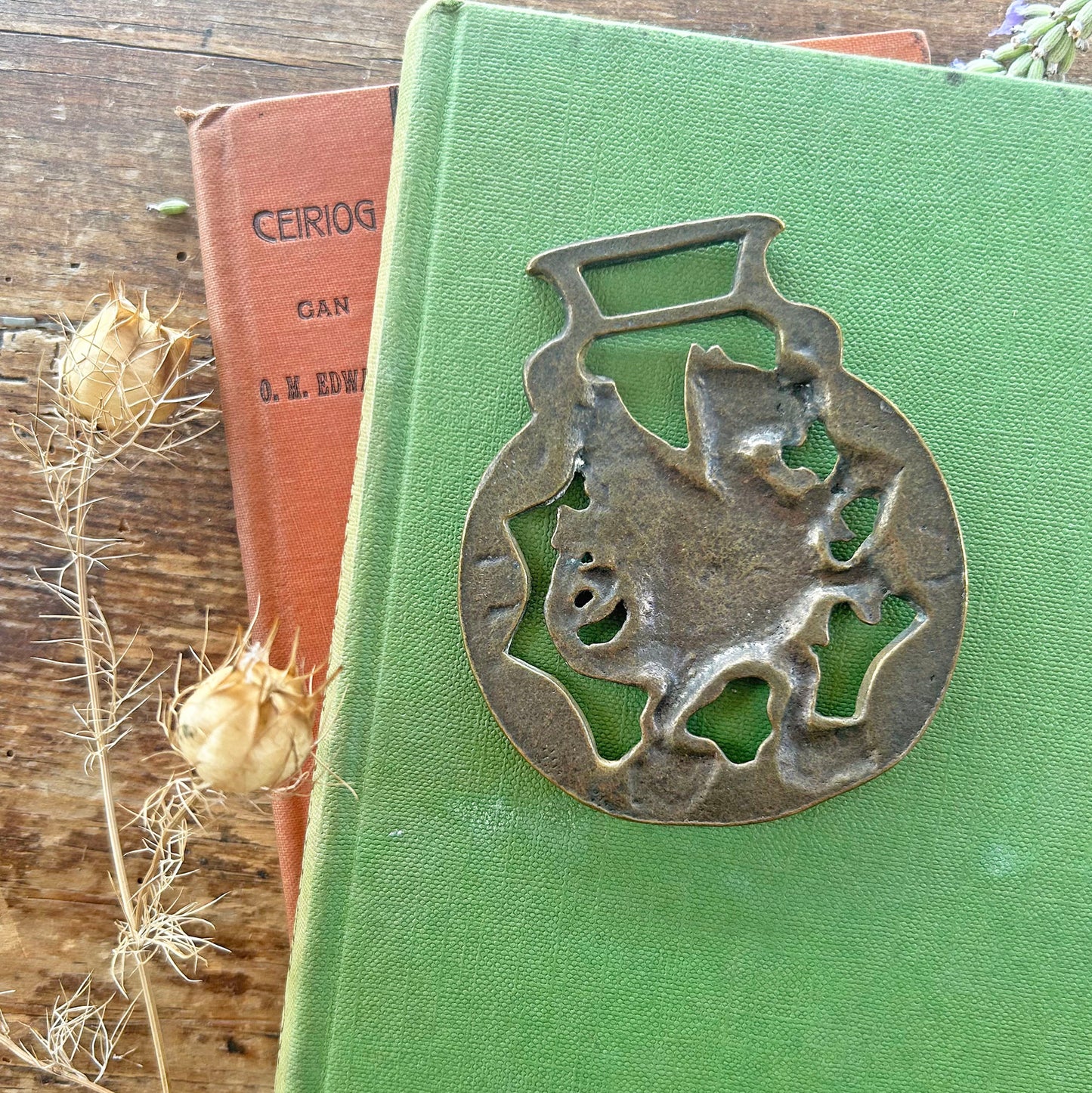 Vintage Horse Brass / Medallion - Dragon / Wales (Preloved)