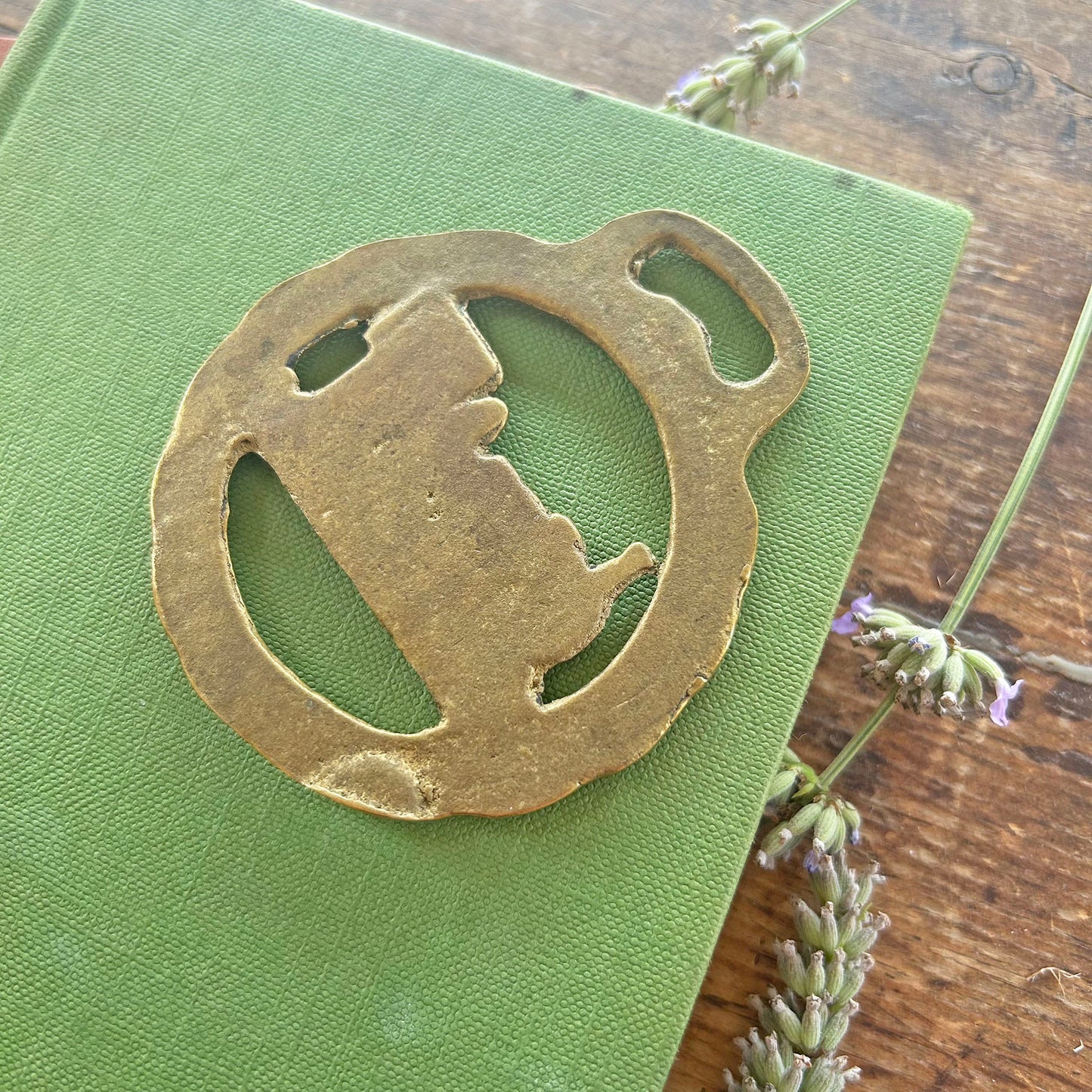 Vintage Horse Brass / Medallion - Talyllyn Railway (Preloved)