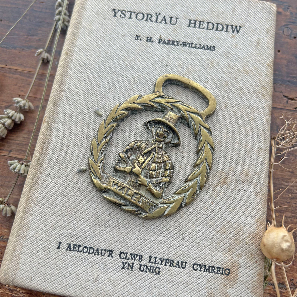 Vintage Horse Brass / Medallion - Welsh Lady - Wales (Preloved)