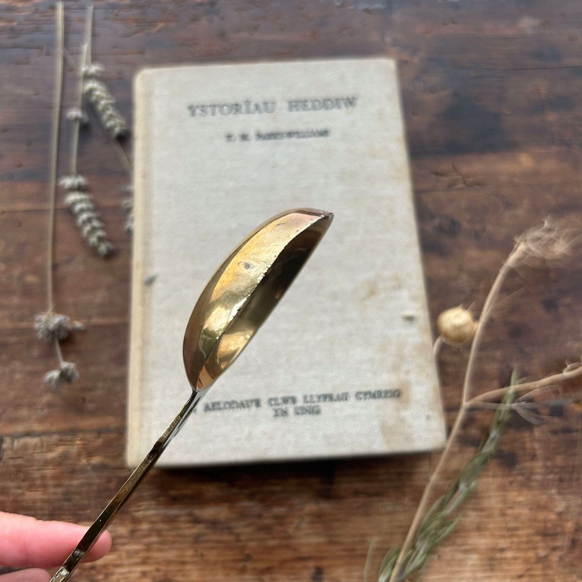 Vintage Welsh Lovespoon / Love Spoon - Solid Brass - Large (Preloved)
