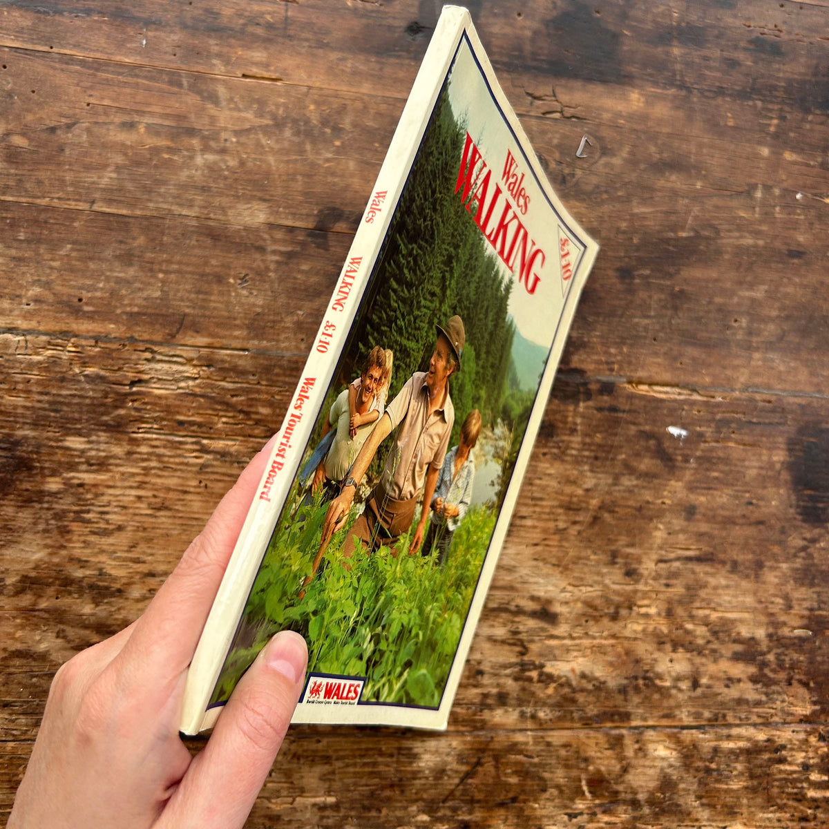 Wales Walking - Wales Tourist Board 1982 (Preloved)