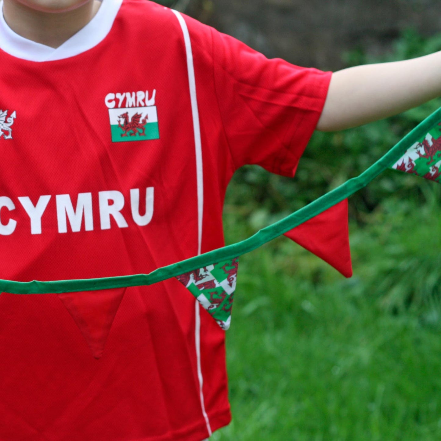 Mini Bunting - Handmade - Welsh Dragons / Flag - 1M