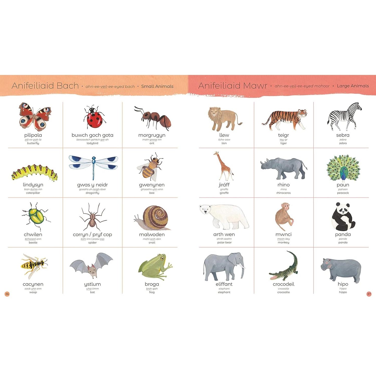 Pawb a Phopeth - Welsh / English Picture Dictionary