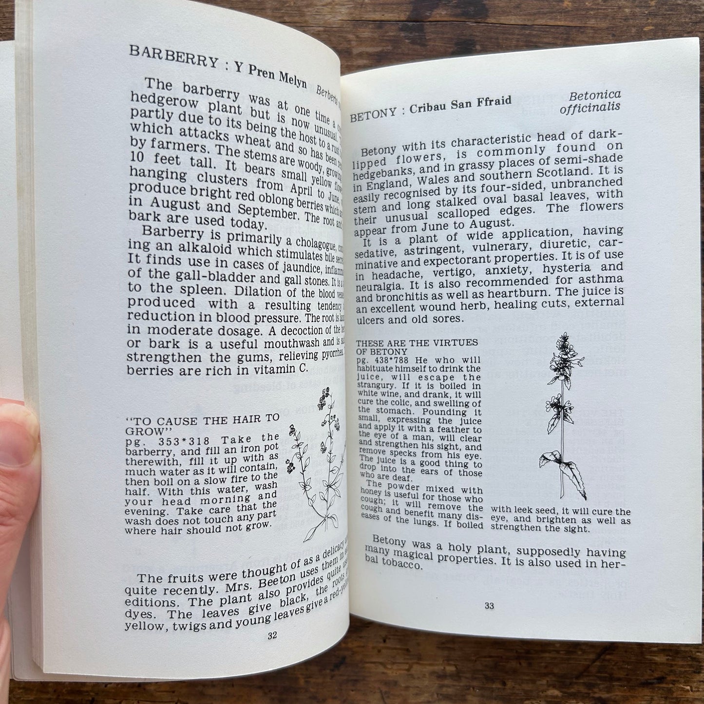 Cymeriadau'r Beibl - Cymeriadau Beiblaidd 1957 (Preloved)