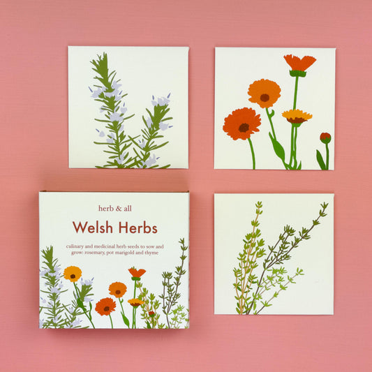 Seed Kit - Welsh Herbs - with Rosemary, Pot Marigold and Thyme