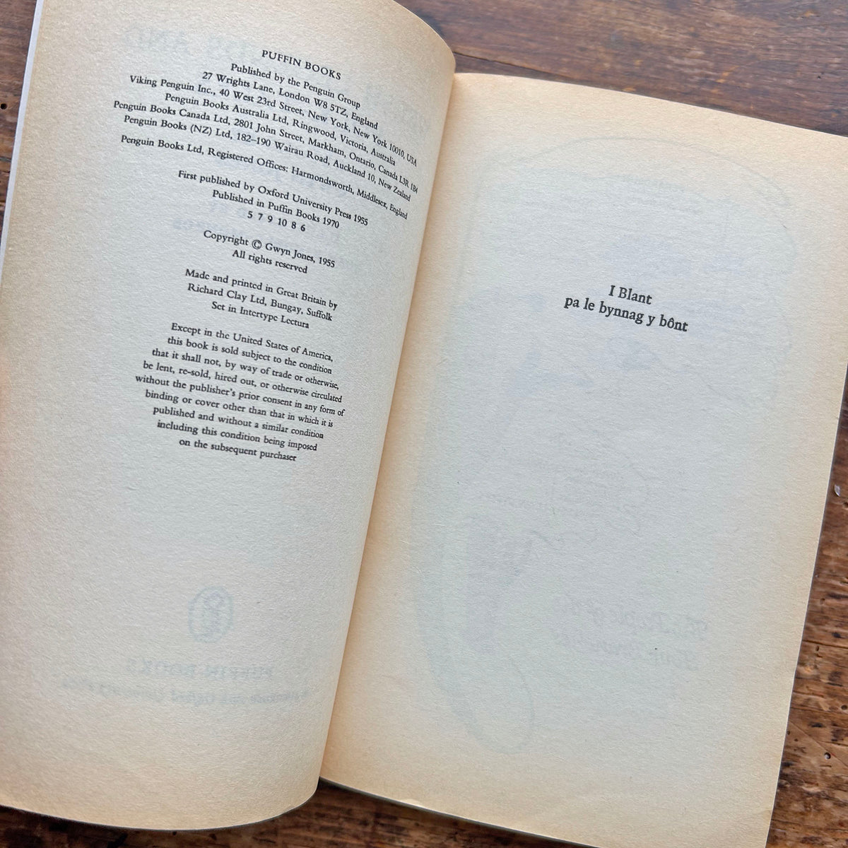 Welsh Legends and Folk Tales - Mabinogion - Gwyn Jones (Preloved)
