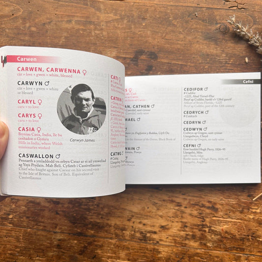 Welsh Names for Children - Enwau Cymraeg i Blant (Preloved)